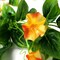 2-Pack Artificial Morning Glory Vine Garlands, 15 ft Hanging Silk Plant Strands, Realistic Fake Greenery for Indoor/Outdoor Home, Garden, Wedding & Event Decoration